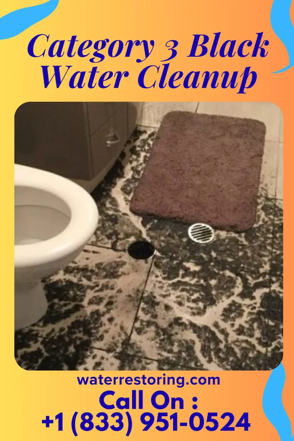 Category 3 Black Water Cleanup in Thomaston, GA